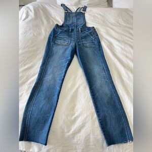 Madewell Overalls~Jansing Wash~ Straight Leg~ Raw Hem Side Zip SZ Small.